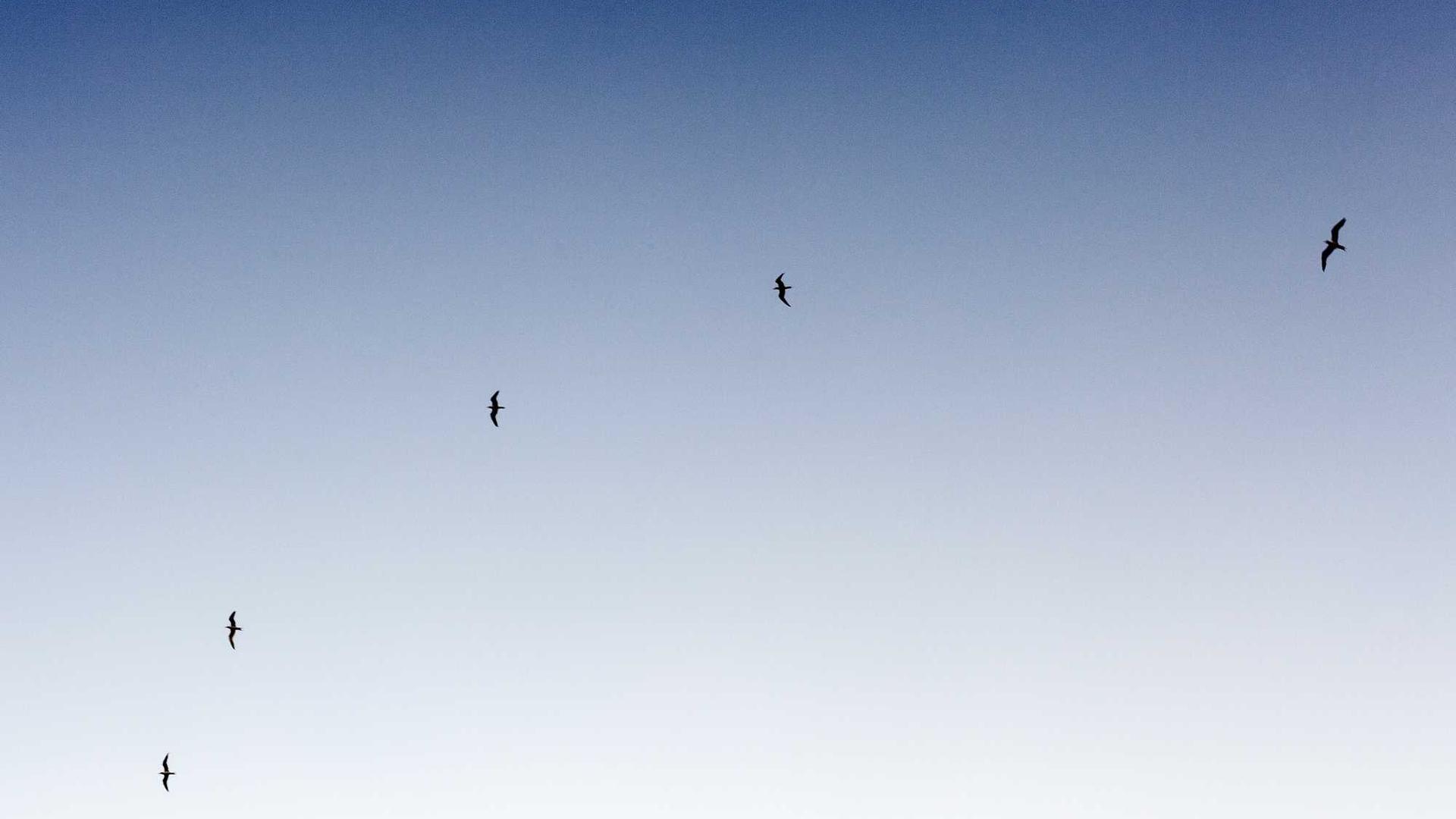 Property Investment Workshop